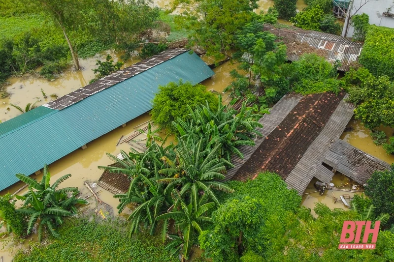 Dân làng sơ tán vật nuôi, đồ đạc lên đê tránh lũ