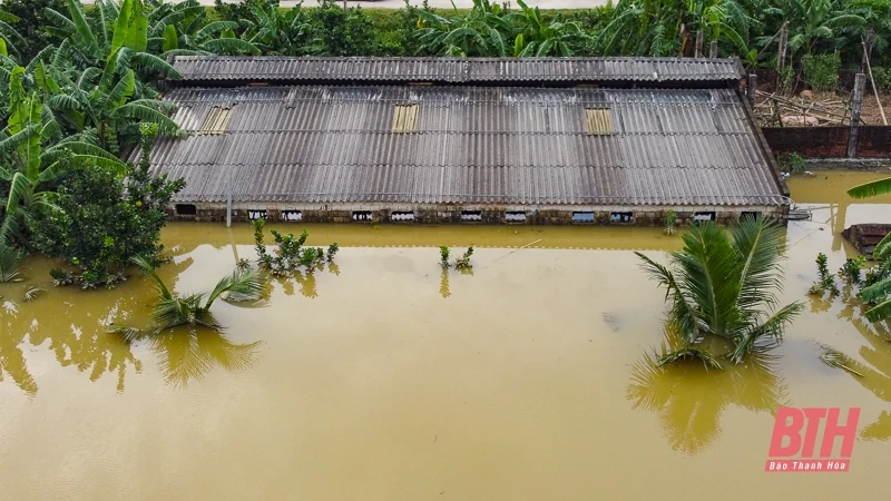 Dân làng sơ tán vật nuôi, đồ đạc lên đê tránh lũ