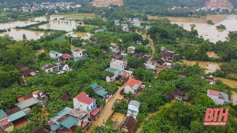Dân làng sơ tán vật nuôi, đồ đạc lên đê tránh lũ