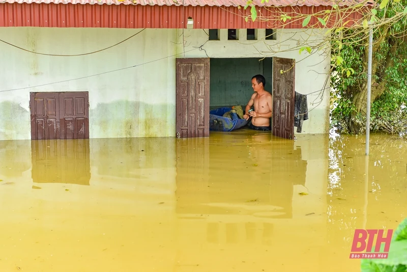 Dân làng sơ tán vật nuôi, đồ đạc lên đê tránh lũ