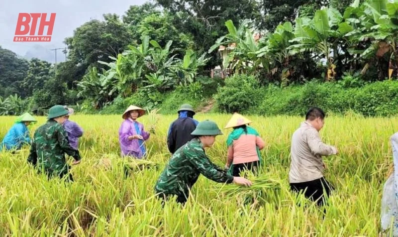 Các đồn Biên phòng tuyến biên giới của tỉnh khẩn trương sơ tán người và tài sản của Nhân dân, phòng chống sạt lở, mưa lũ