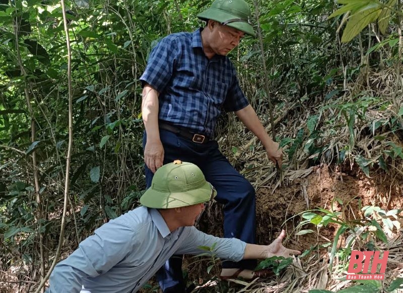 Xuất hiện vết nứt ngang đồi, huyện Như Thanh khẩn cấp di dời các hộ dân