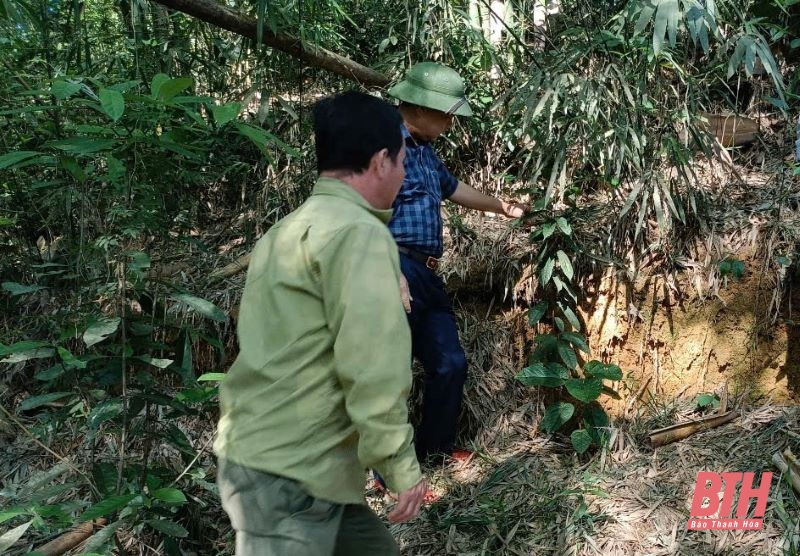 Xuất hiện vết nứt ngang đồi, huyện Như Thanh khẩn cấp di dời các hộ dân