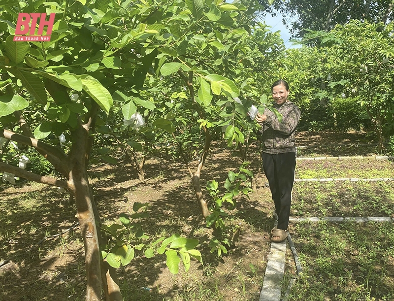 Làm giàu với mô hình kinh tế tổng hợp