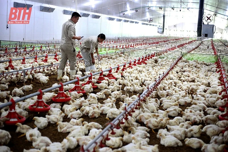 Xã miền núi Minh Tiến tăng tốc để về đích NTM