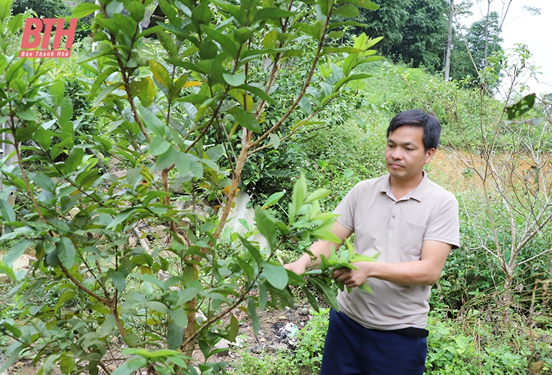 Những người Mông “đi ngược” tìm ấm no nơi biên viễn (Bài 3): Đảng viên tiên phong đưa ruộng về... bản