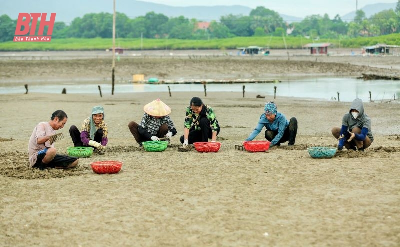 Nữ nông dân nuôi “vàng trắng” được vinh danh Nông dân Việt Nam xuất sắc năm 2024