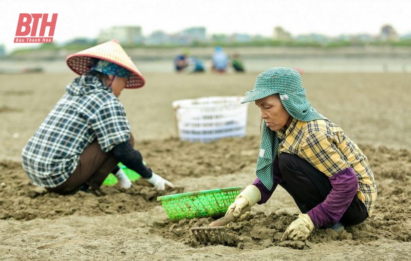 Nữ nông dân nuôi “vàng trắng” được vinh danh Nông dân Việt Nam xuất sắc năm 2024