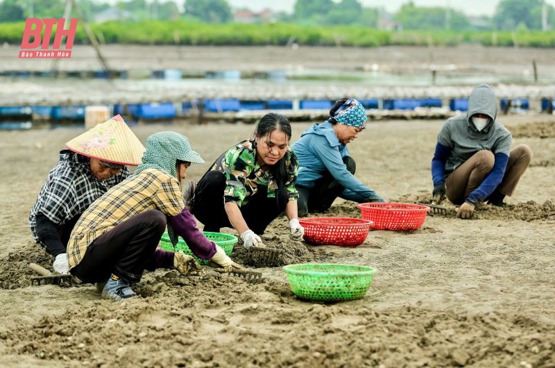 Nữ nông dân nuôi “vàng trắng” được vinh danh Nông dân Việt Nam xuất sắc năm 2024