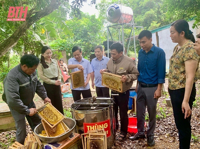 Nhân Ngày thành lập Hội Nông dân Việt Nam 14/10): Đồng hành cùng nông dân xây dựng sản phẩm OCOP