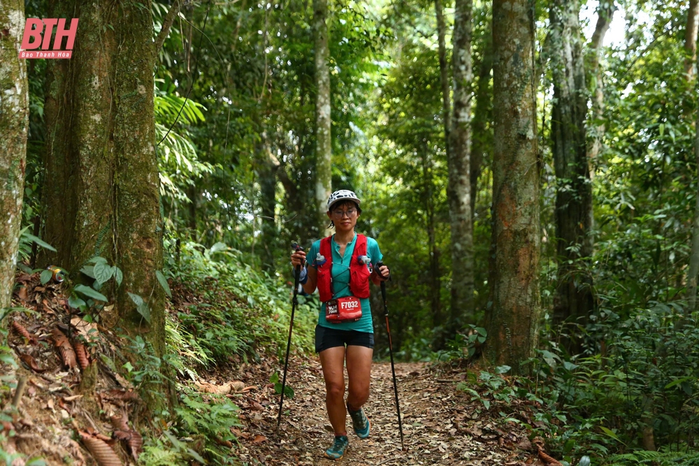 1.500 VĐV trong nước, quốc tế sôi nổi tranh tài tại Giải chạy Marathon băng rừng Việt Nam - Pù Luông 2024