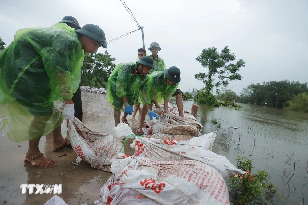 Rà soát và triển khai các biện pháp đảm bảo an toàn đê điều ứng phó bão số 6