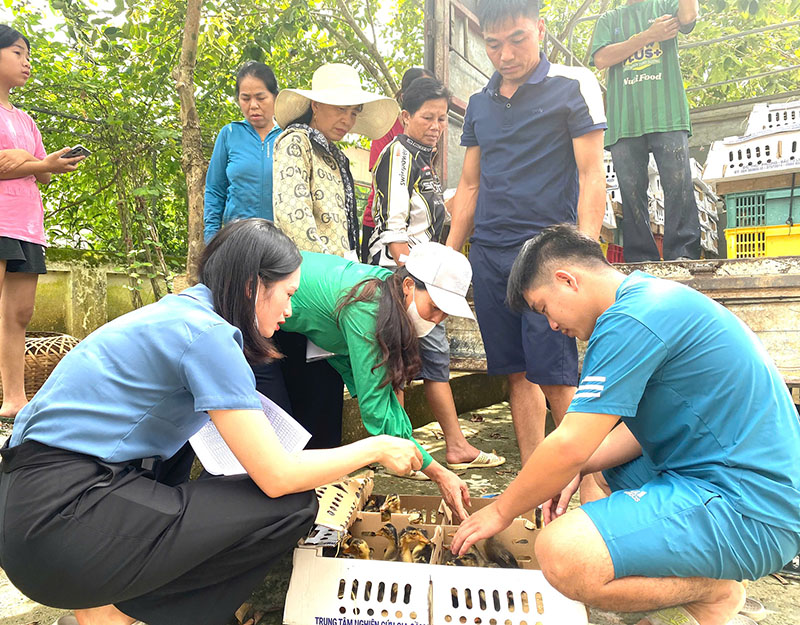 Tín hiệu tích cực từ những dự án giảm nghèo