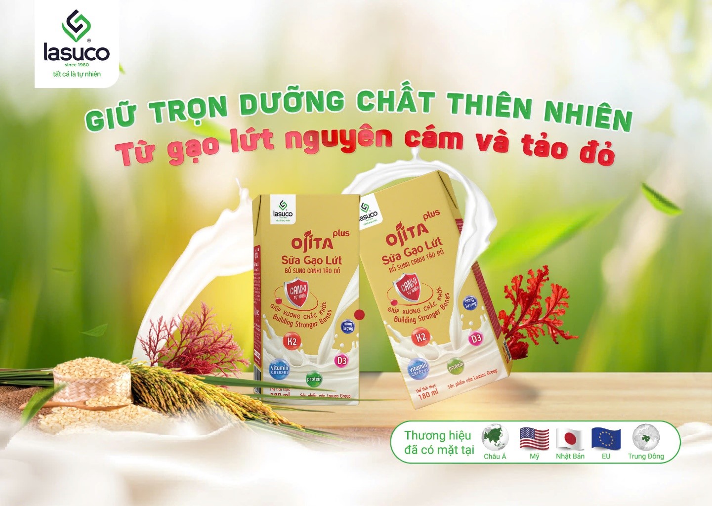 Lasuco trình làng dòng sản phẩm sữa gạo lứt bổ sung canxi tảo đỏ Ojita Plus