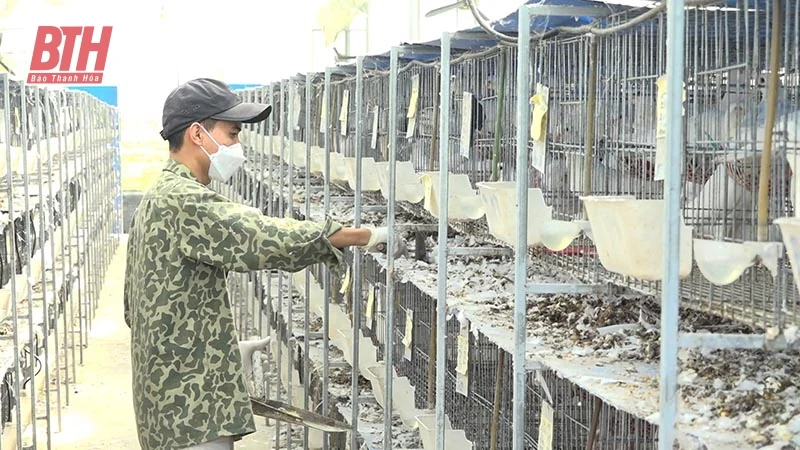 Vĩnh Thịnh xây dựng xã link vào m88 bhki nâng cao