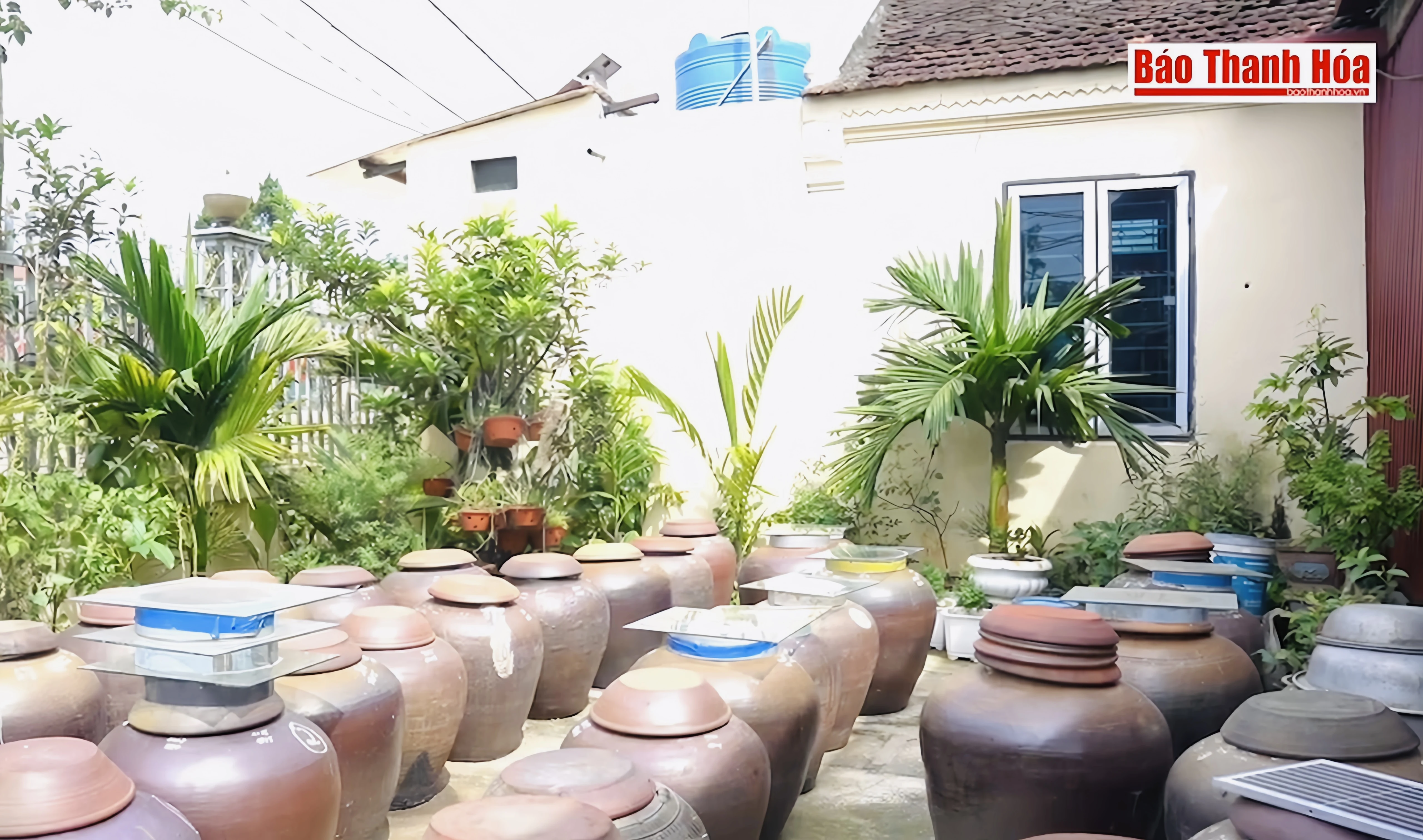 Người nặng lòng với tương Xuân Phả