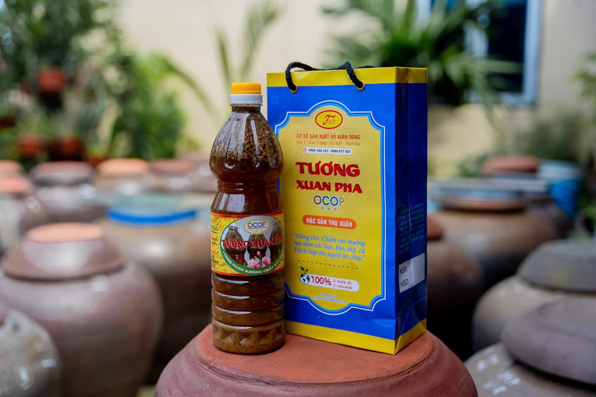 Người nặng lòng với tương Xuân Phả