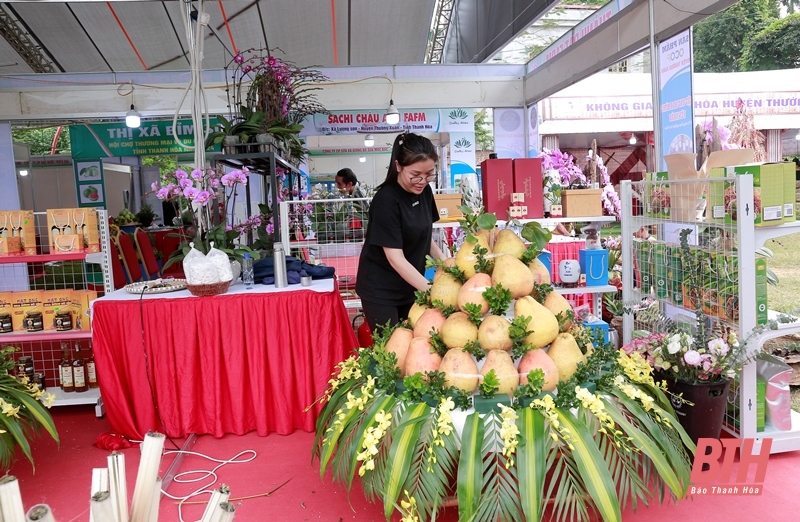 Sẵn sàng khai mạc “Hội chợ Thương mại và Du lịch miền Tây Thanh Hóa năm 2024”