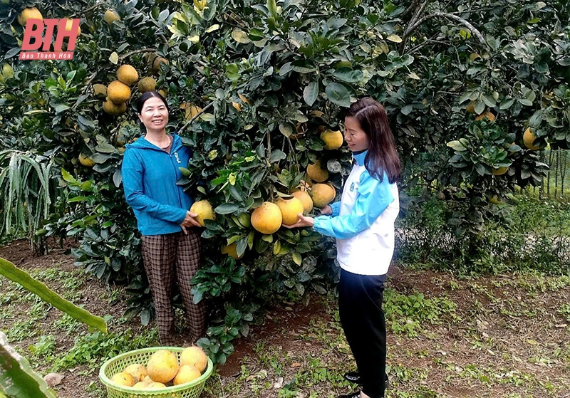 dang nhap m88 nòng cốt trong phong trào phụ nữ