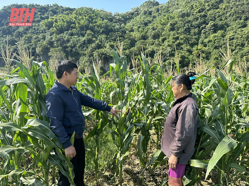 Phát huy vai trò cá cược bóng đá m88 trong phát triển nông nghiệp