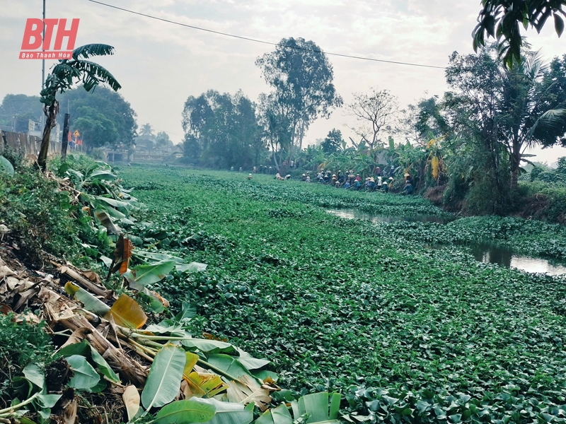 Gần 2.000 người tham gia làm công tác thủy lợi đợt 2 năm 2024