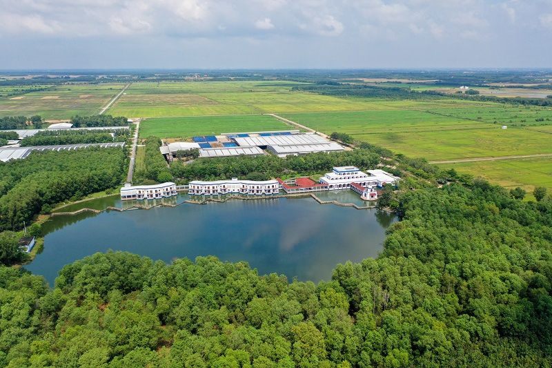Có gì đặc biệt ở cánh đồng lúa ST25 “5 không” tại link đăng nhập m88 Vinamilk Green Farm?