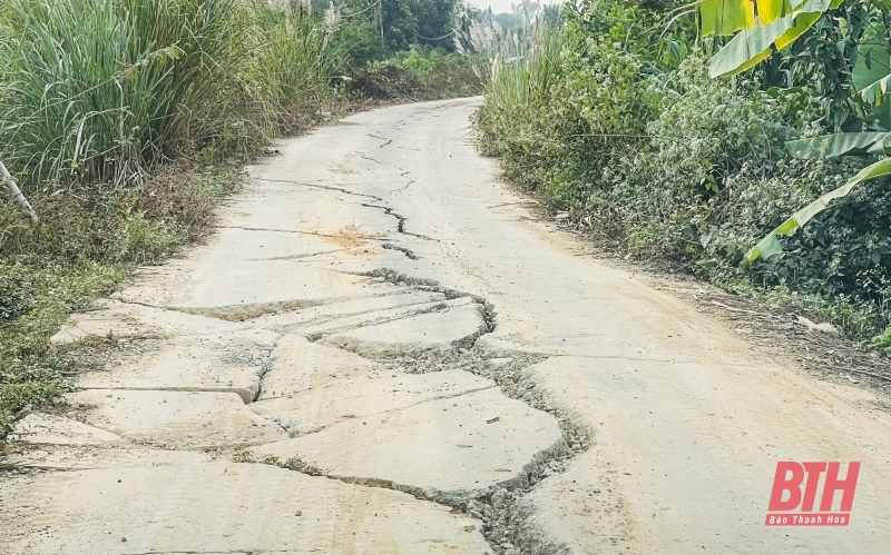 Ngang nhiên đưa máy xúc, xe tải vào m88 the thao đất trái phép sát cao tốc Bắc - Nam