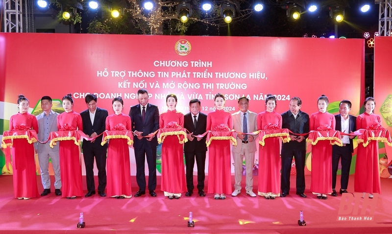 Hỗ trợ thông tin phát triển thương hiệu, kết nối và mở rộng thị trường cho doanh link m88 nhỏ và vừa
