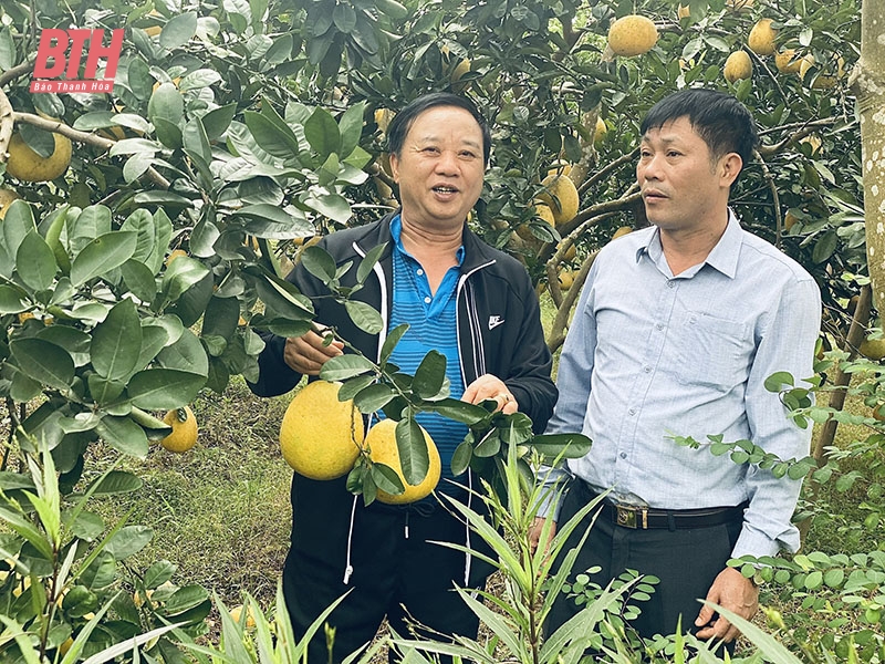 Những cựu chiến binh xông pha trong thời chiến, cống hiến giữa thời bình