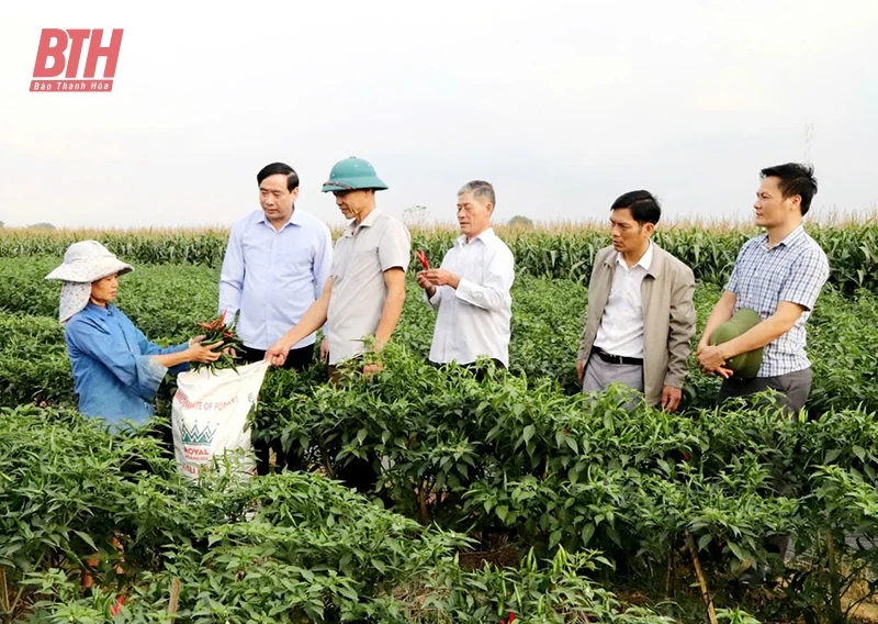 Hành trình đạt m88 link mới nhất nông thôn mới nâng cao: Vững từ thôn, chắc từ xã (Bài cuối) - Lấy hài lòng làm thước đo hiệu quả công việc, lấy hạnh phúc làm mục tiêu phấn đấu