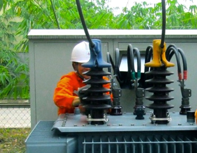 Điện lực khu vực Ngọc Lặc - Lang Chánh tri ân khách hàng năm 2024