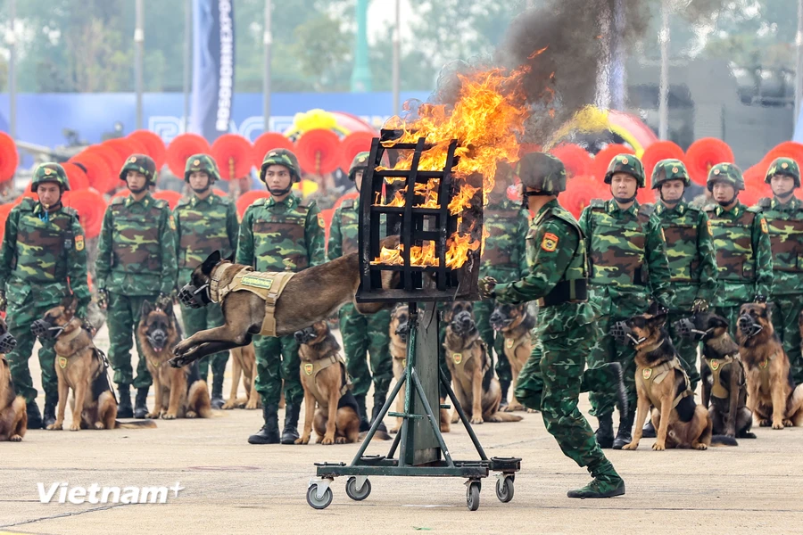 Mãn nhãn tổng duyệt Lễ khai mạc Triển lãm Quốc phòng Quốc tế Việt Nam 2024