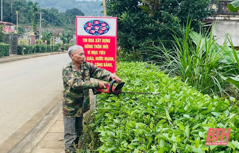 Thỏa mắt với hàng rào xanh ở huyện miền núi Ngọc Lặc