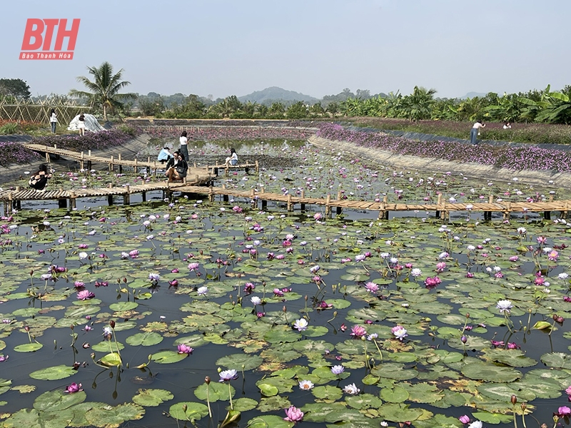 Bất cập phát triển nông nghiệp hiện đại (Bài 2): Nhiều điểm nghẽn”