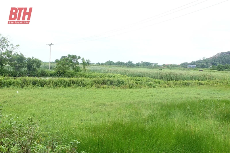 Bất cập phát triển nông nghiệp hiện đại (Bài 1): Bỏ ruộng hoang khắp nơi