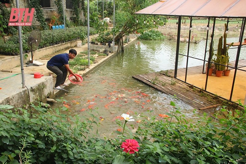 Bất cập phát triển nông nghiệp hiện đại (Bài 2): Nhiều điểm nghẽn”