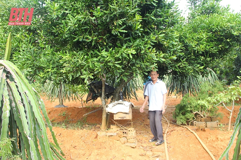 Bất cập phát triển nông nghiệp hiện đại (Bài 2): Nhiều điểm nghẽn”