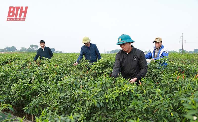 Nâng cao hiệu quả m88 link mới nhất