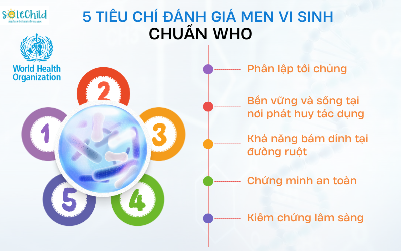 Probioact-Cerebio - Đột phá công nghệ bảo vệ men vao m88, hỗ trợ bé tiêu hóa khỏe mạnh