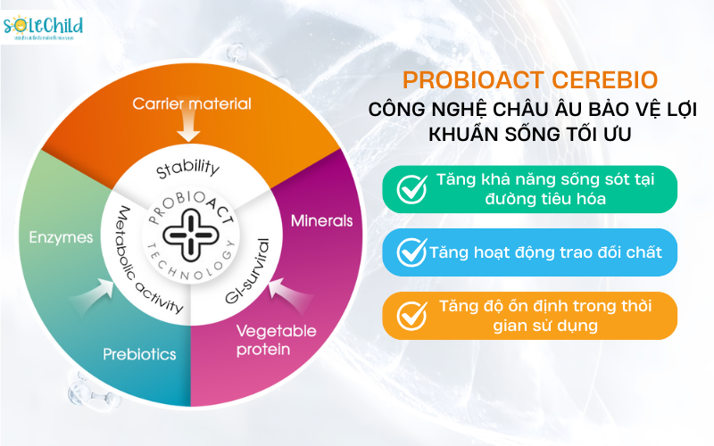 Probioact-Cerebio - Đột phá công nghệ bảo vệ men vao m88, hỗ trợ bé tiêu hóa khỏe mạnh