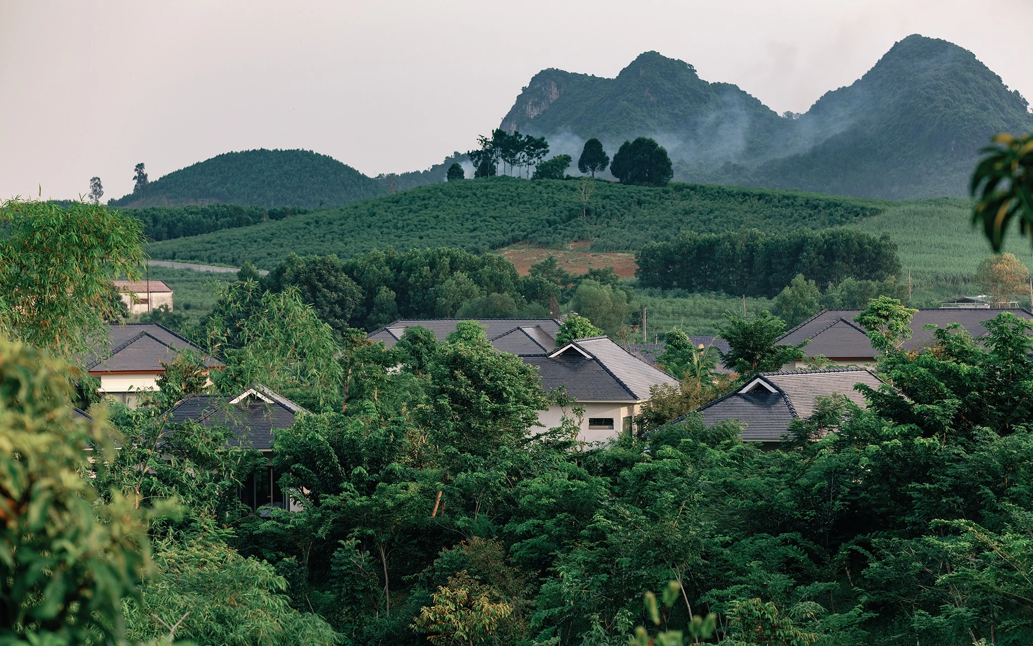 Thảo nguyên xanh – nước mát lành