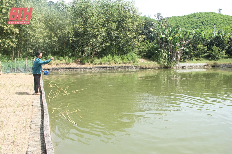 Khu nhà cái m88 mẫu cho thu nhập hàng trăm triệu đồng