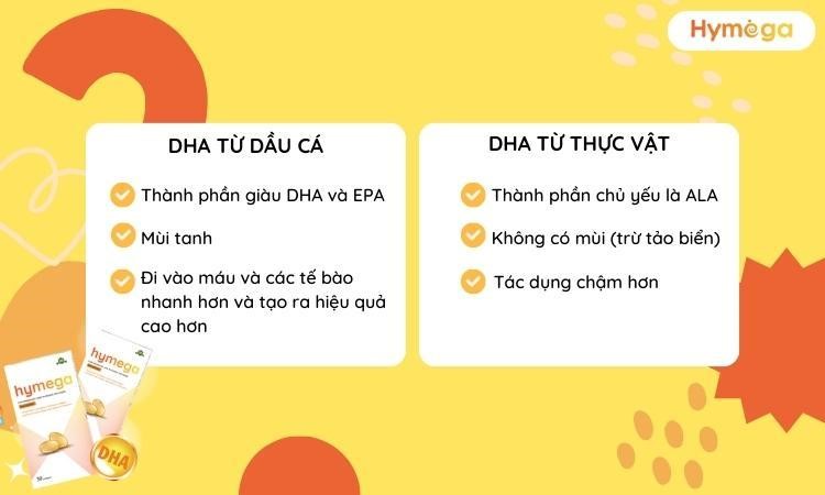 Cẩm nang chọn DHA cho bà bầu và giải pháp hoàn hảo từ DHA EU Hymega