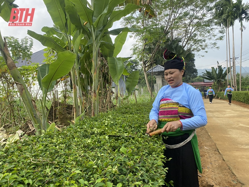 “Xanh hóa” vùng quê nông thôn mới