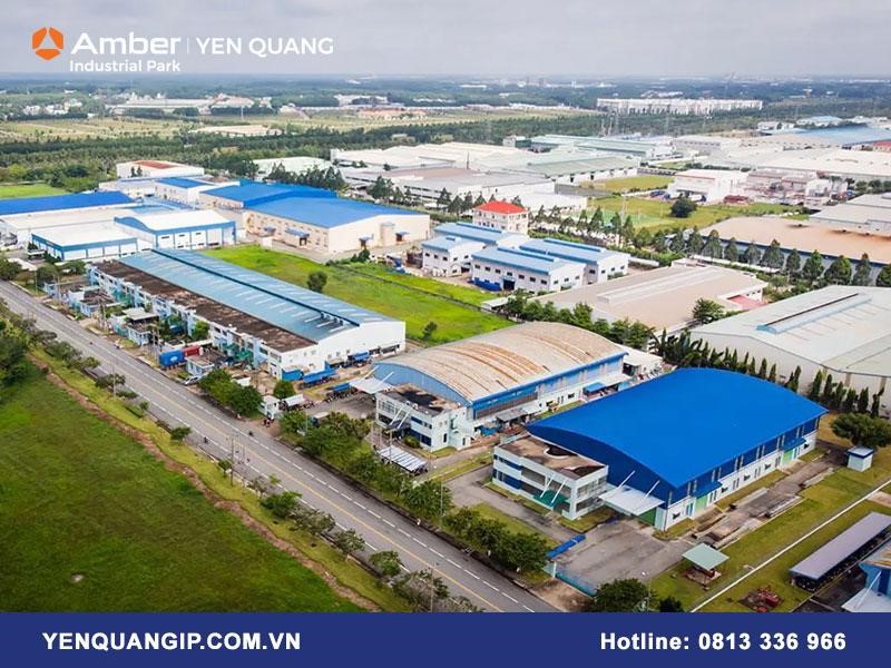 Cùng Amber Yên Quang tìm hiểu link m88 Hòa Bình