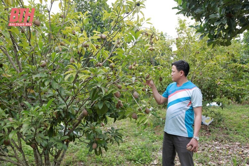 Nông thôn mới ở link đăng nhập m88, Tân Trường: Từ gian khó đến mùa quả ngọt