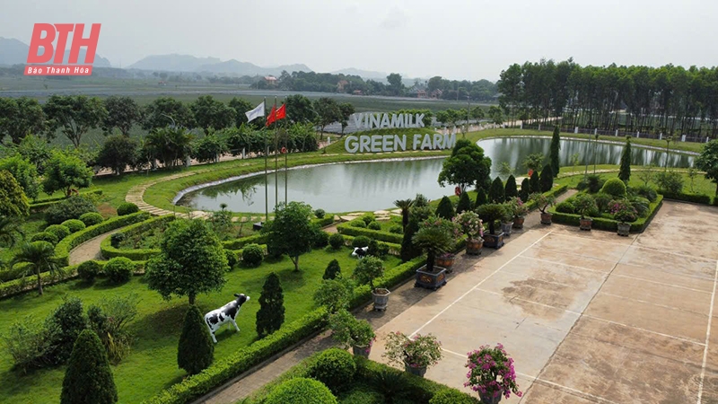 Hướng đến chuyển đổi kèo nhà cái m88