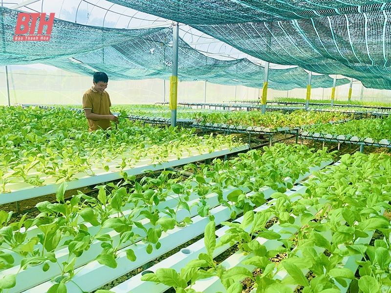 Hiệu quả từ nguồn vốn phát triển dang nhap m88 ở Nông Cống