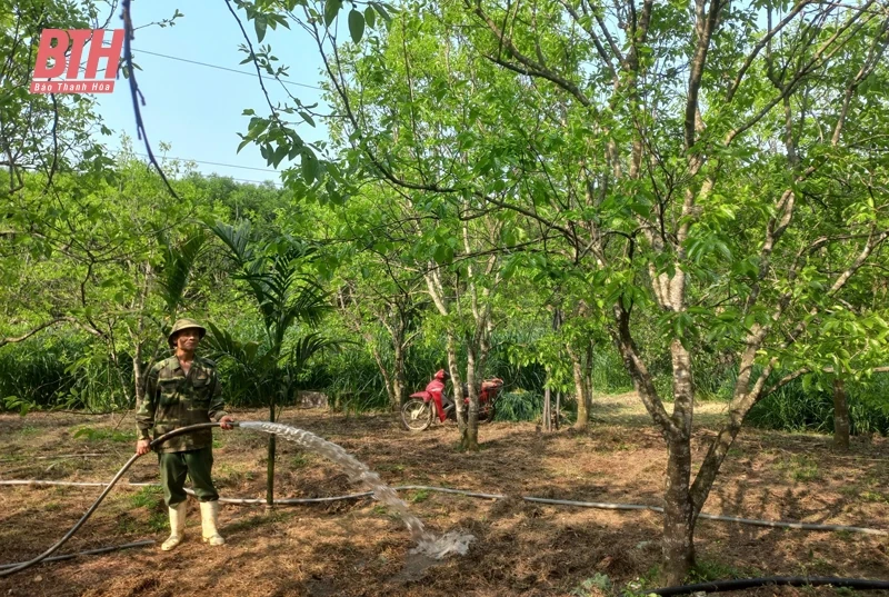 Cựu chiến binh gương mẫu - đi đầu trong phát triển link đăng nhập m88 tế