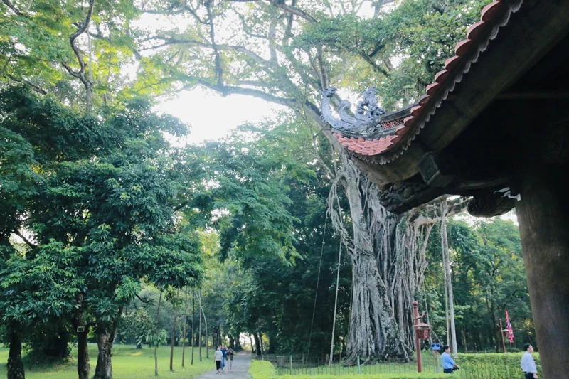 Những nẻo về nguồn cội